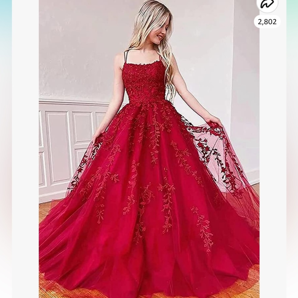 Red Tulle Lace Applique Long Ball Gown Sz14
